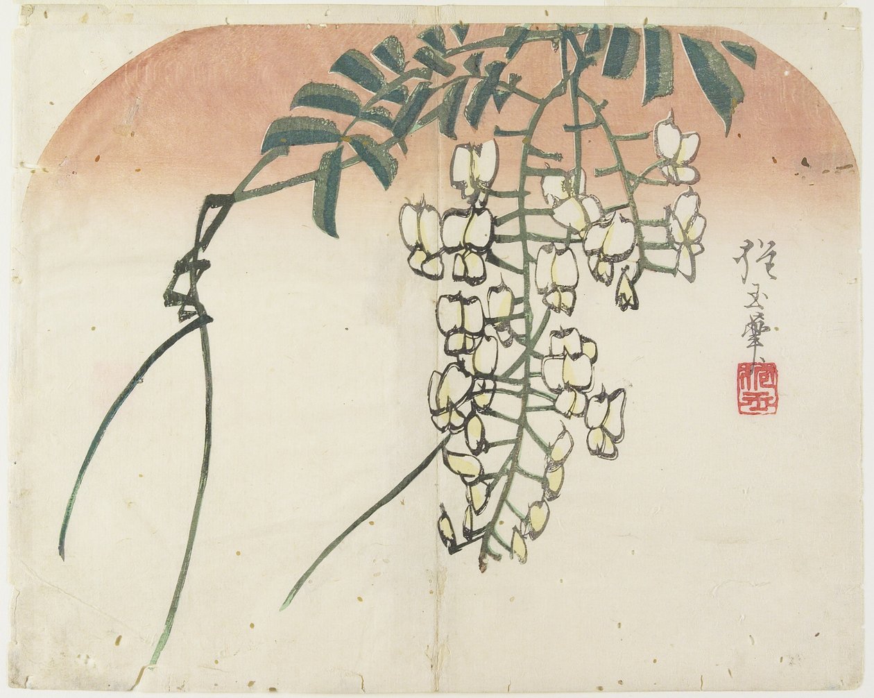 White Wisteria, c. 1830 by Hogyoku