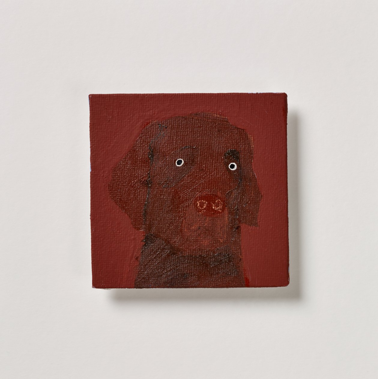 Chocolate Labrador by Holly Frean