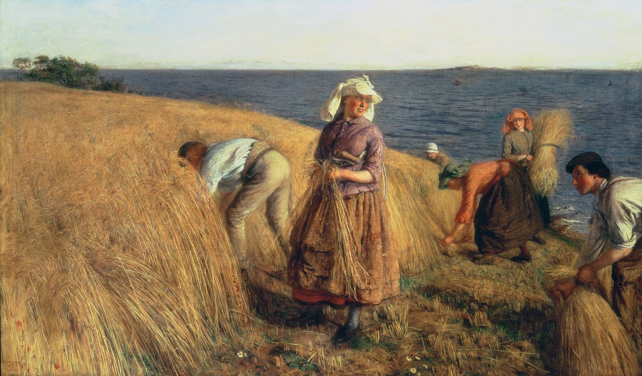 The Harvest by Hugh Cameron