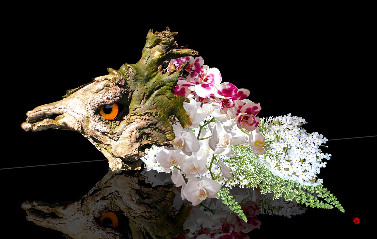 Mythical Creatures by Hugo Nefe