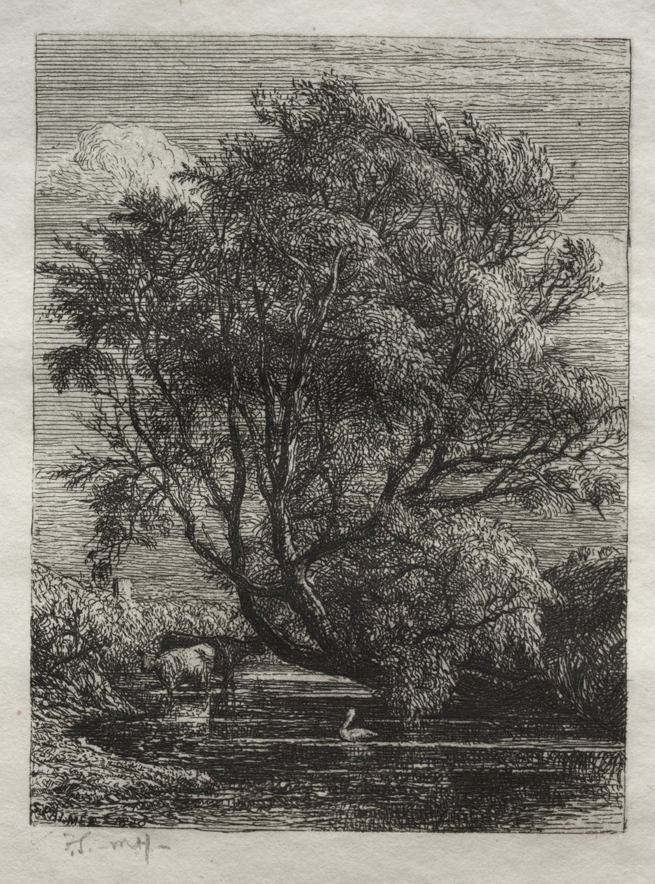The Willow by Ignaz Gunther