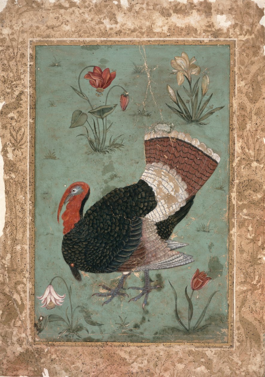Turkey, Mughal by Indian School