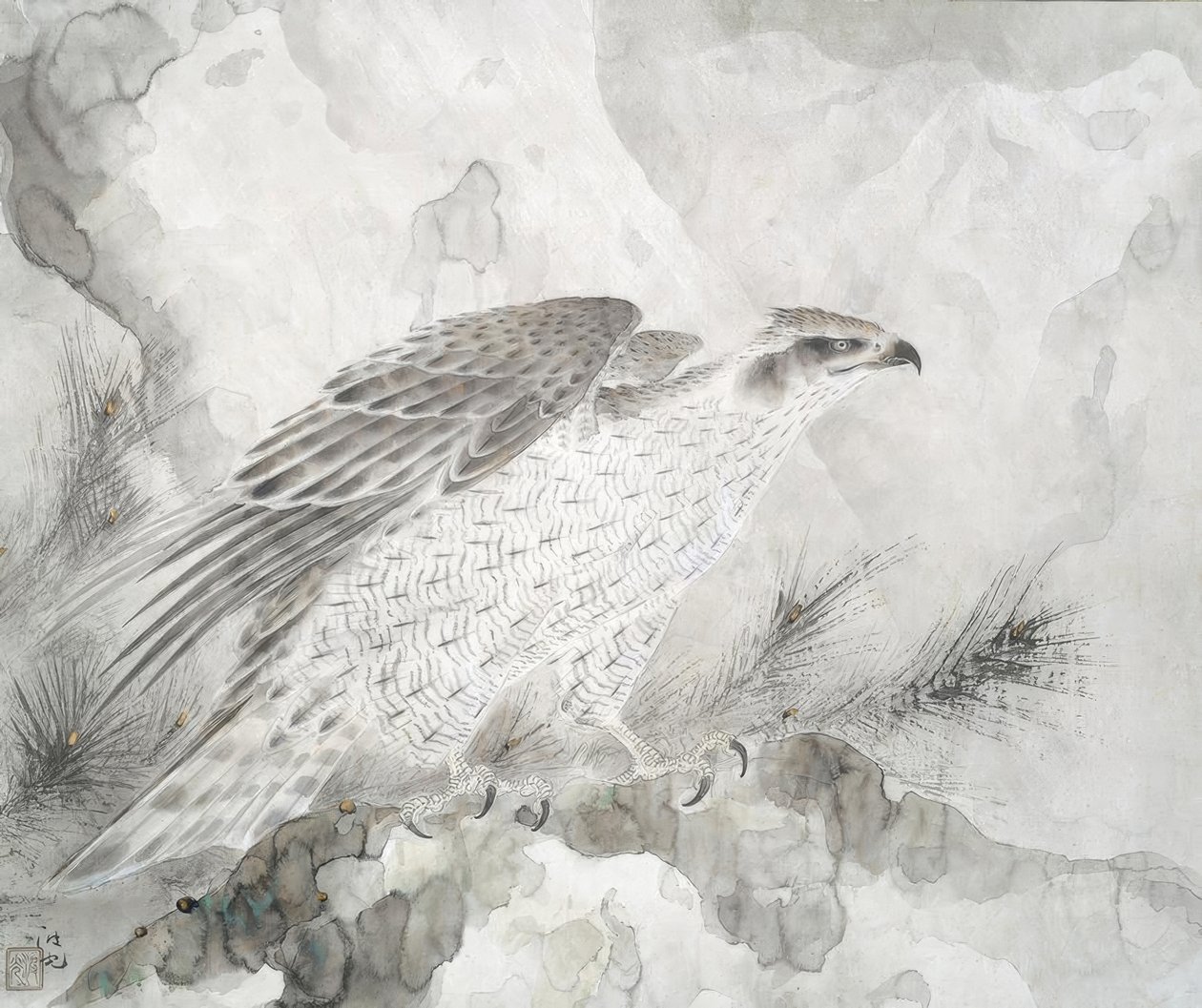 Hawk by Irie Hako