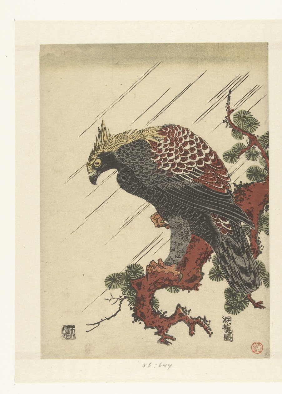 Eagle on Pine Branch in Rain by Isoda Koryusai