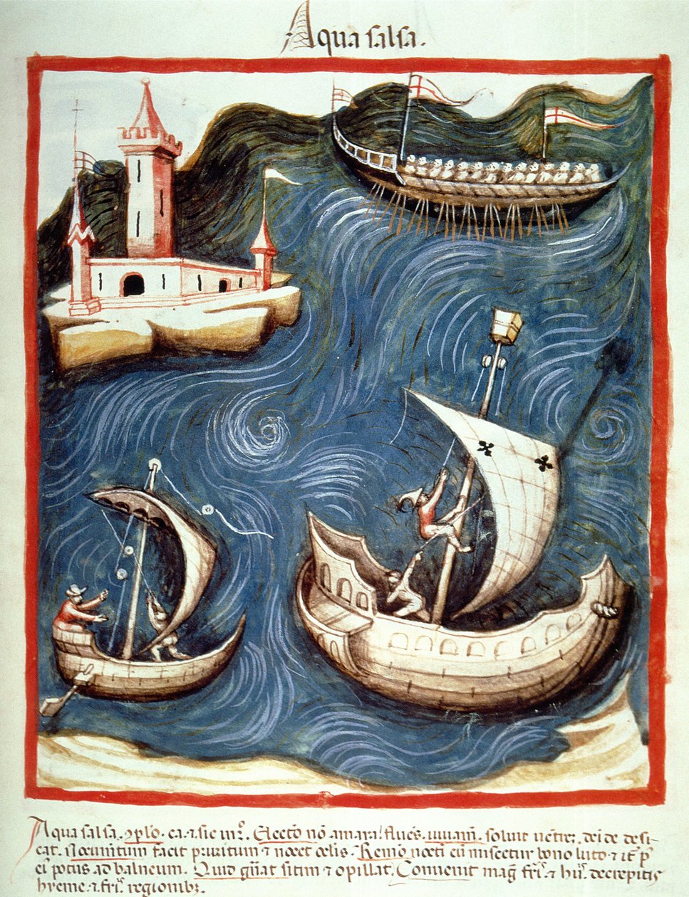 Boats on the Sea (illustration from Tacuinum Sanitatis Codex Vindobonensis) by Italian School