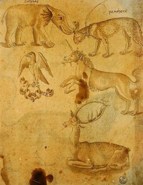 Animals by Italian School