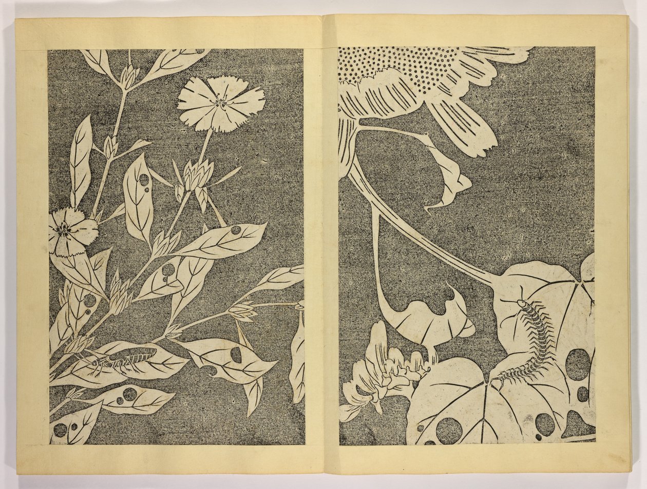 Jakuch? gaj?, c.1910 by Ito attr. to Jakuchu