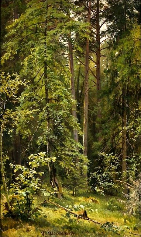 A Forest by Ivan Ivanovich Shishkin
