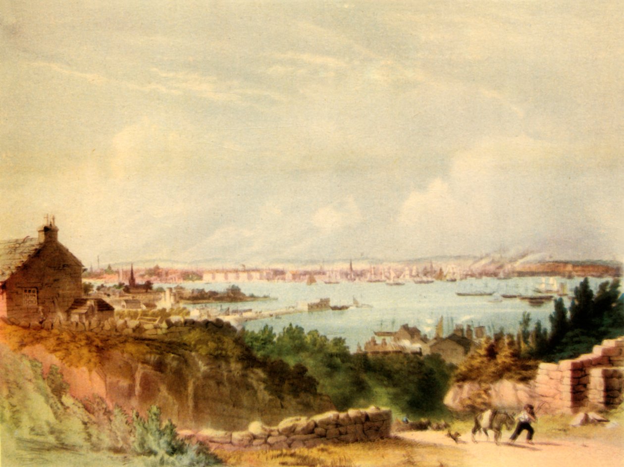 Liverpool in 1846 by J McGahey