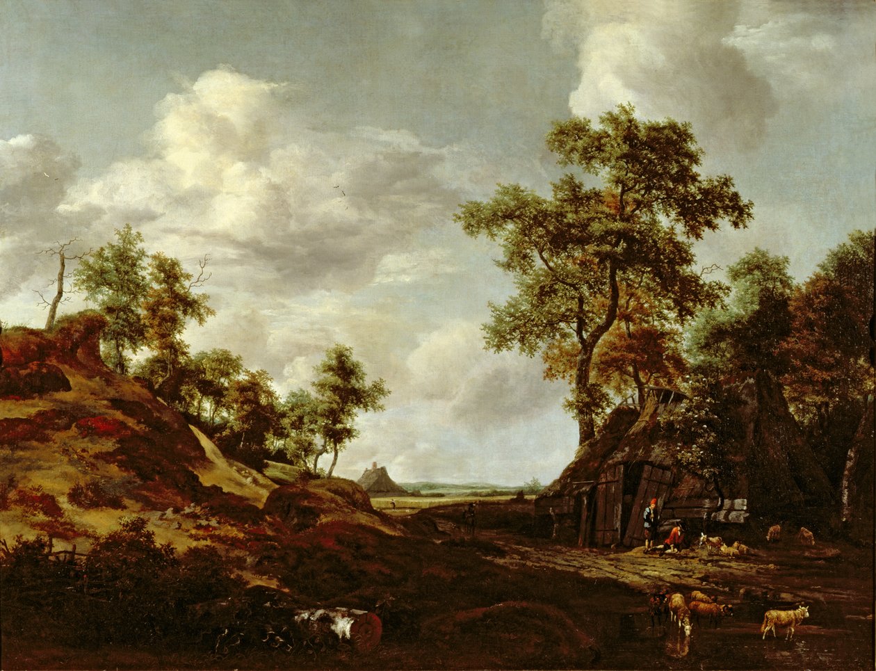 Unknown Image by Jacob van Ruisdael
