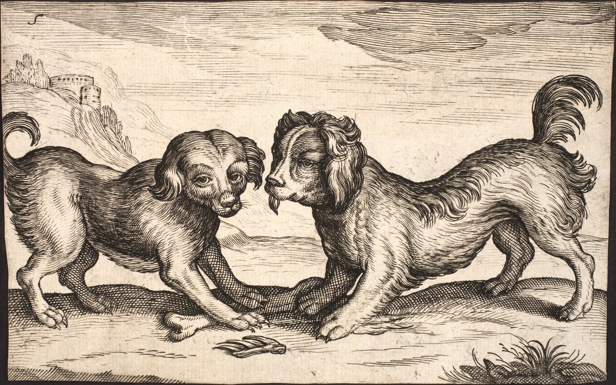 Two Small Dogs by Jacob Matham