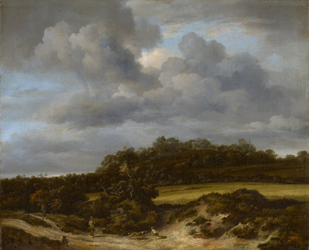 The Cornfield by Jacob van Ruisdael