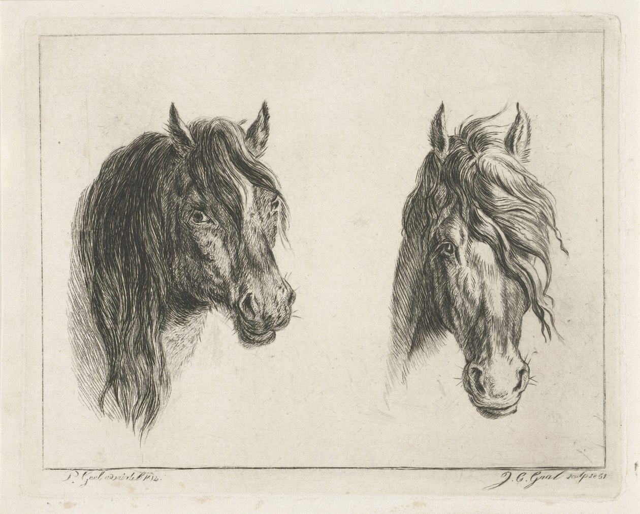 Two Horse Heads by Jacobus Cornelis Gaal