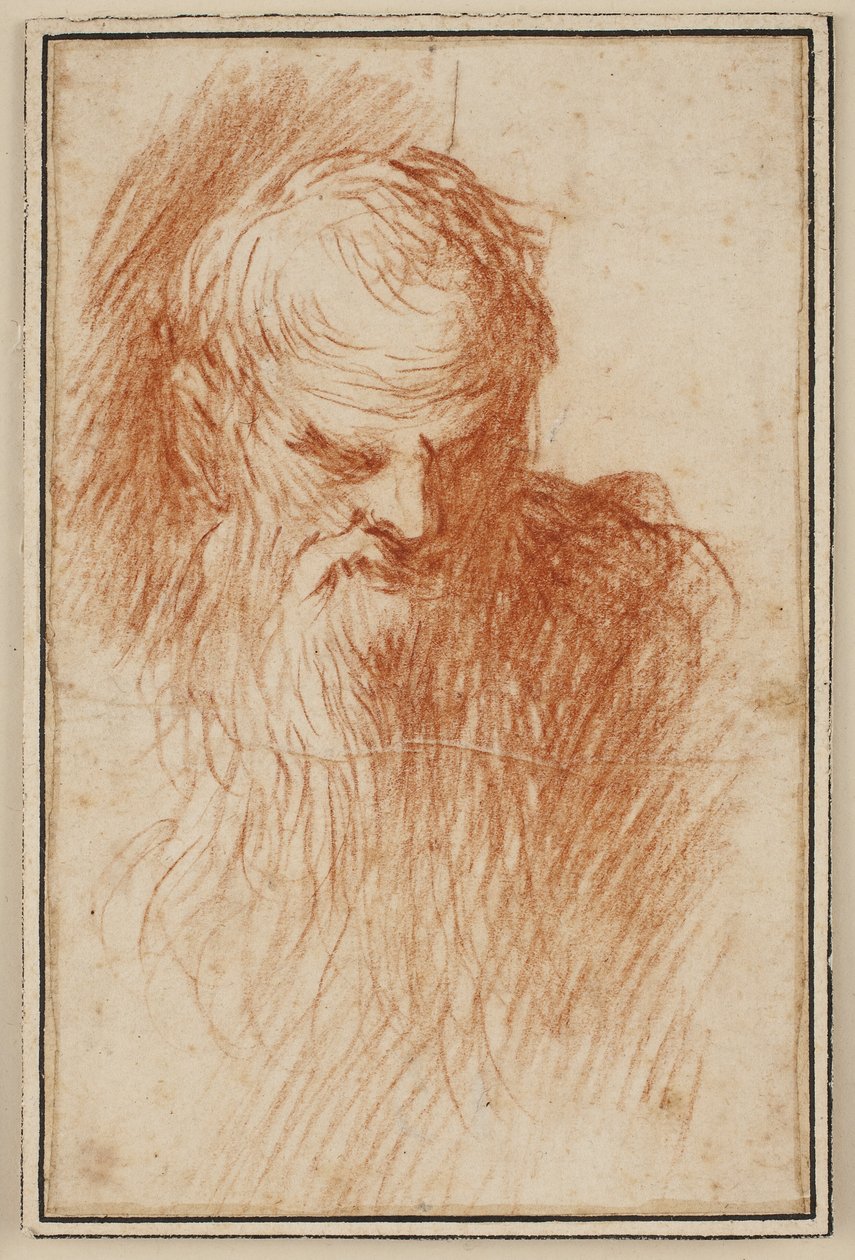 Head of a Bearded Man by Jacopo Palma