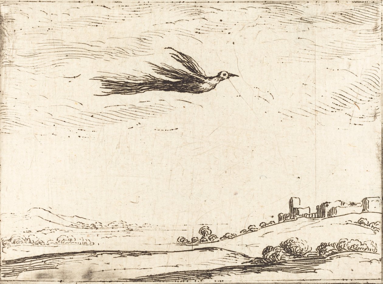 Bird of Paradise by Jacques Callot