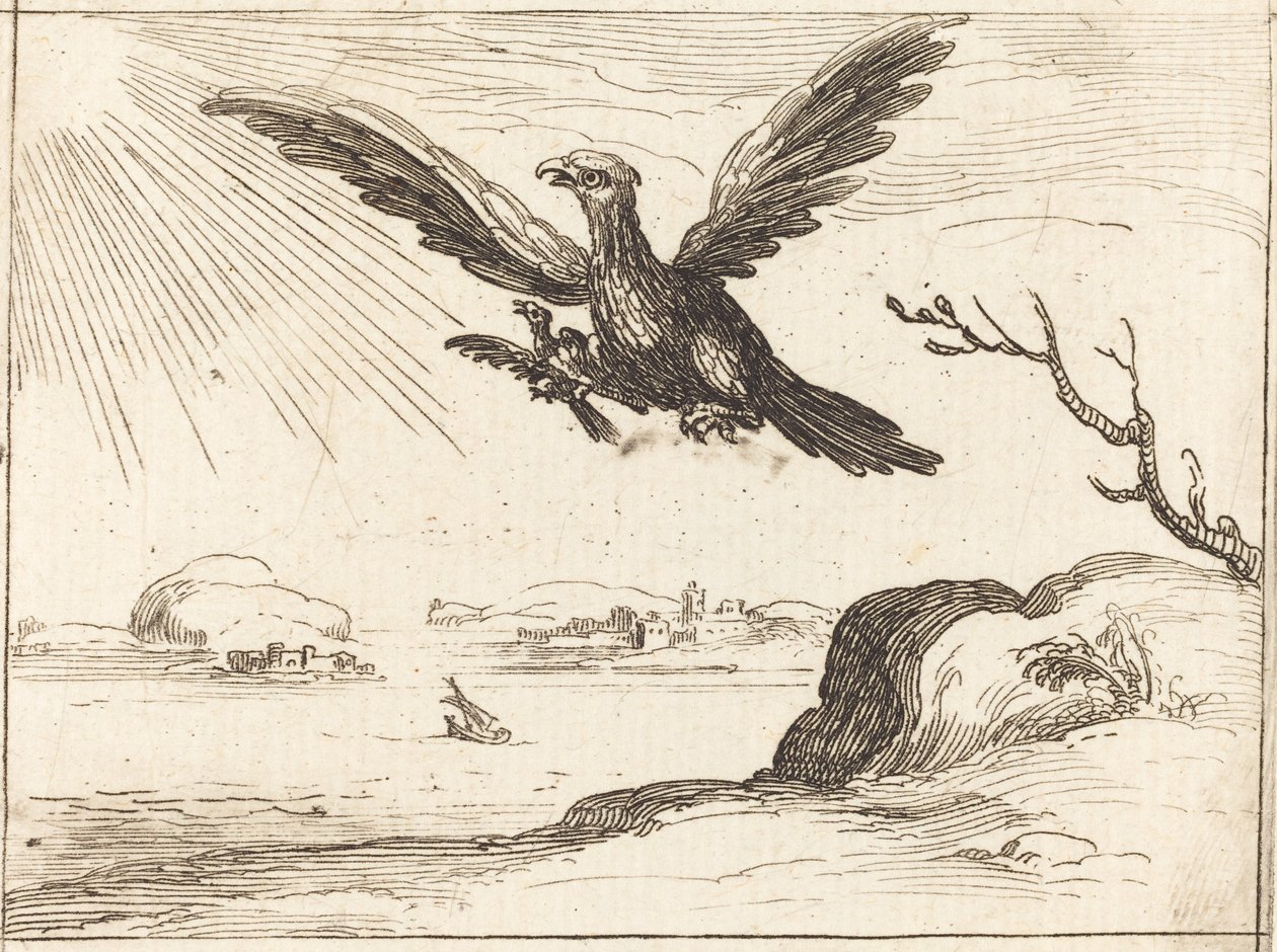 Eagle and Young by Jacques Callot