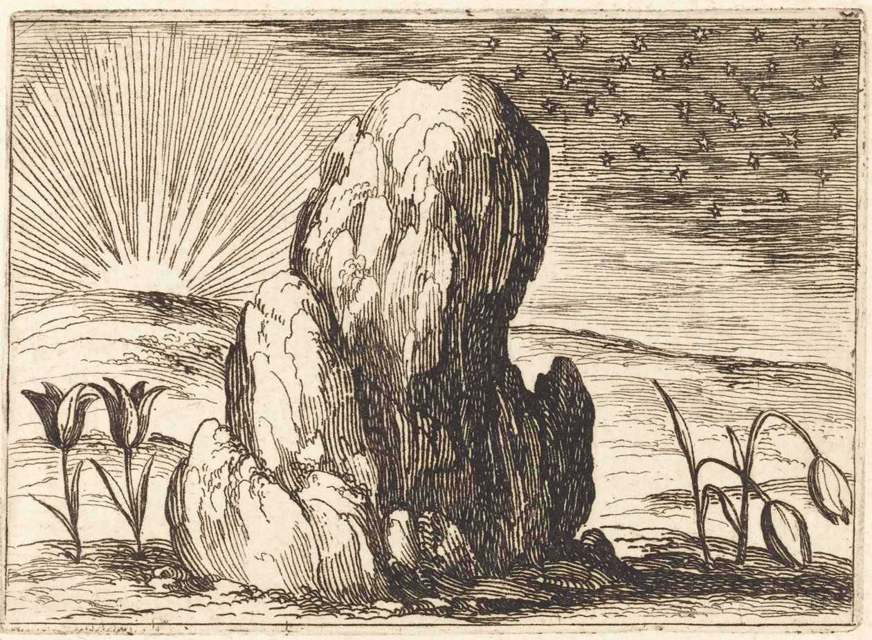 The Tulips and the Sun by Jacques Callot