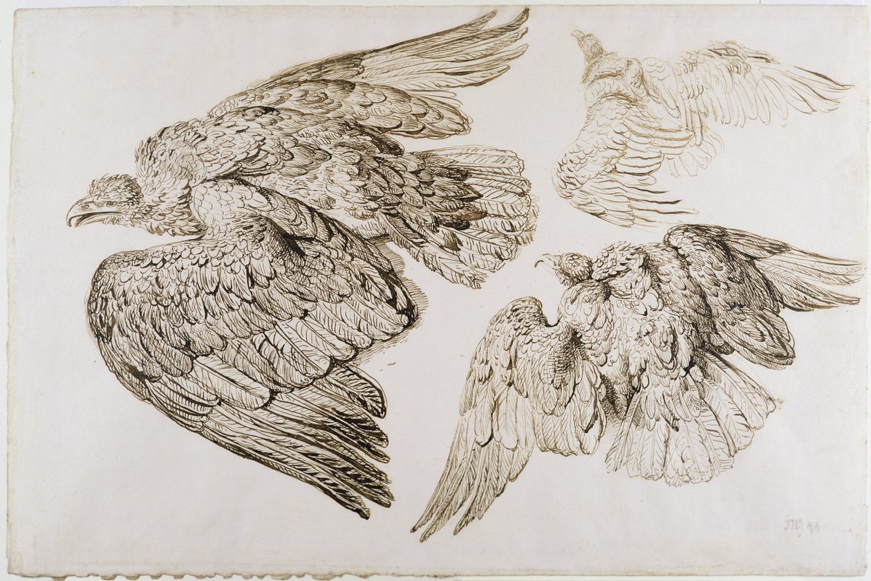 Eagles by James Ward