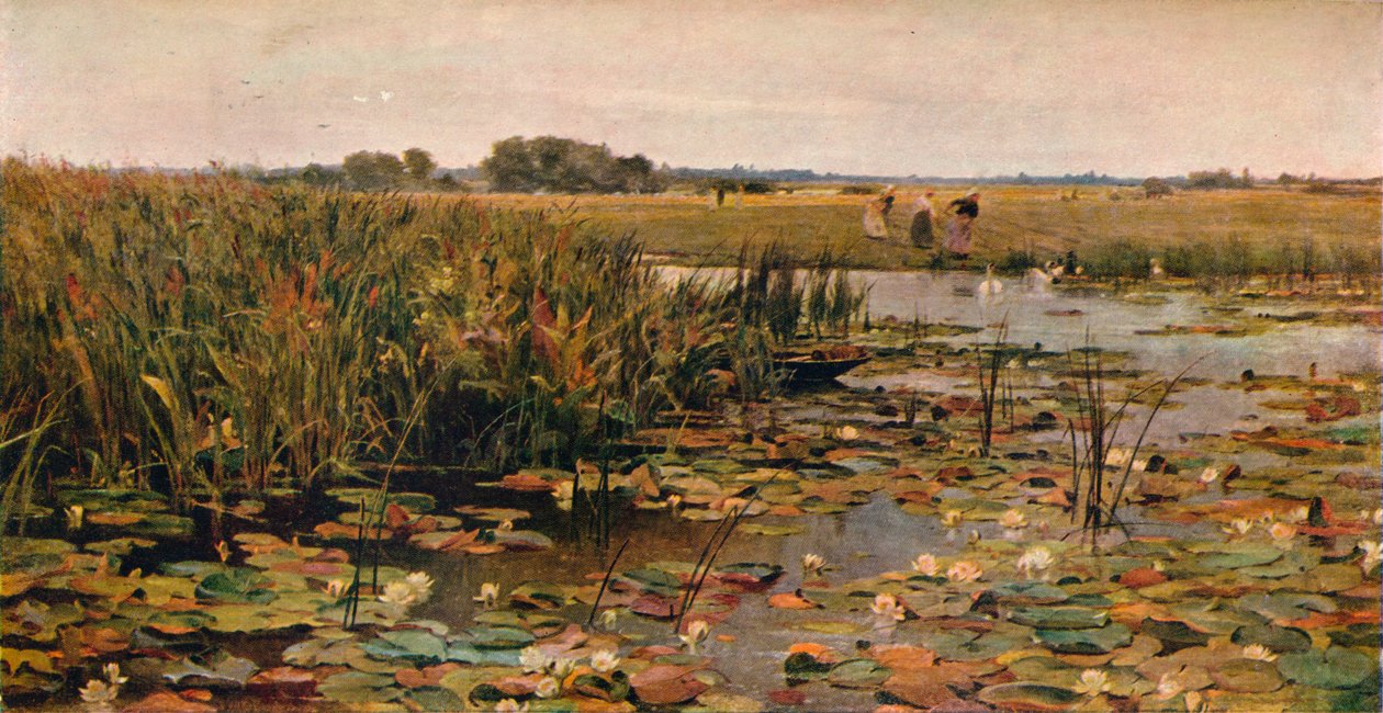 Water Lilies by James Aumonier