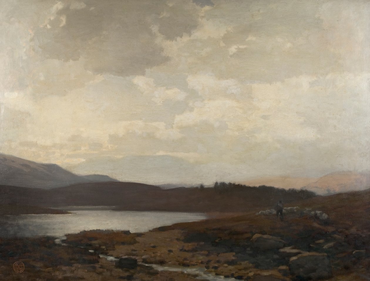 Dinnet Moor by James Cadenhead