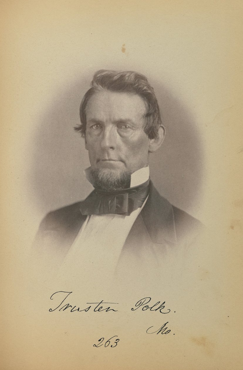 Trusten Polk by James Earle McClees