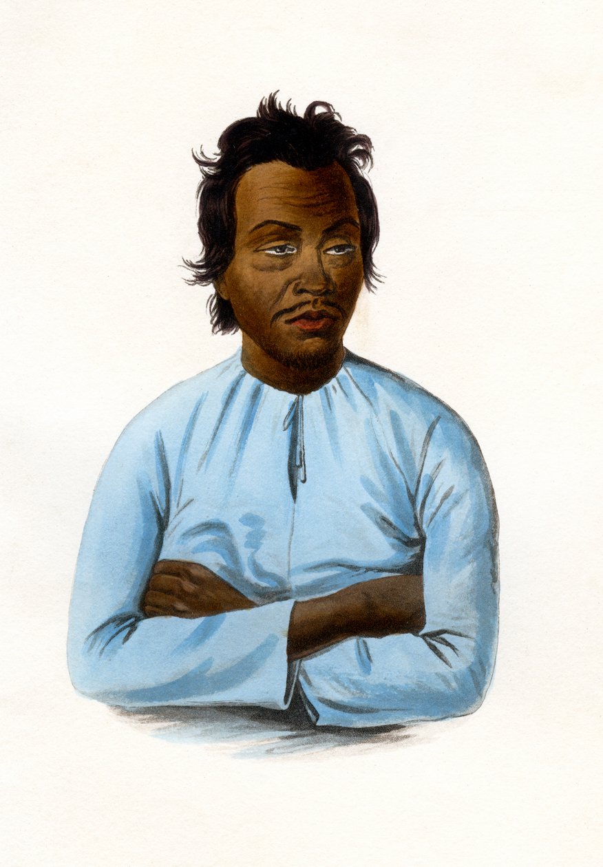 The Malay by James Prichard