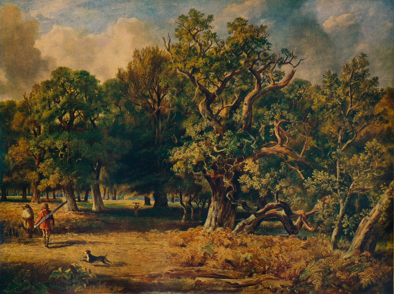 Windsor Forest, c1835 by James Stark