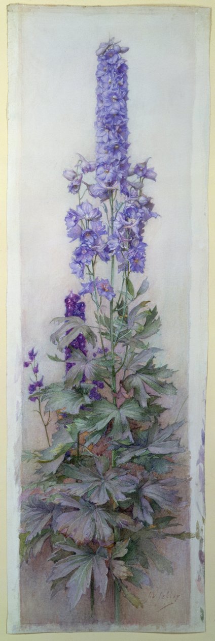 Delphiniums by James Valentine Jelley