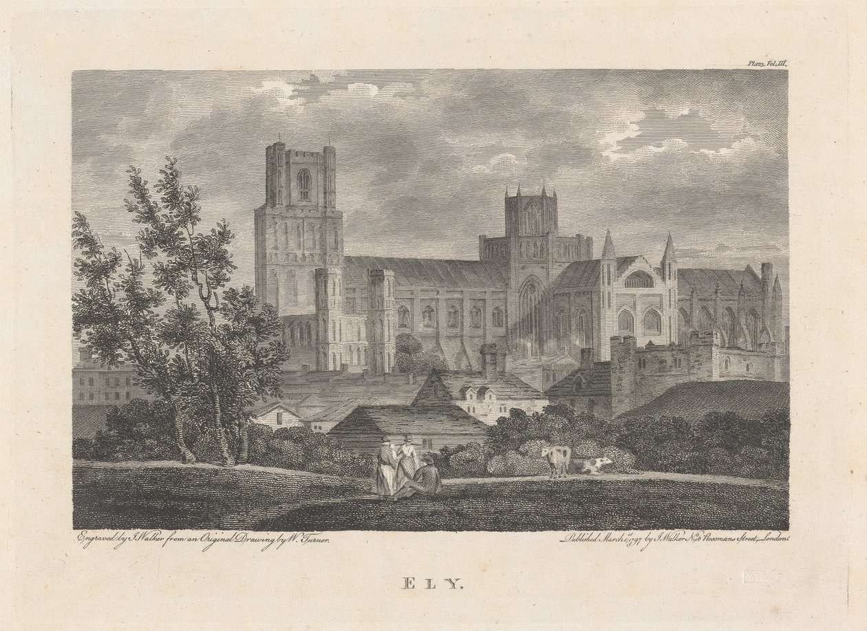 Ely by James Walker