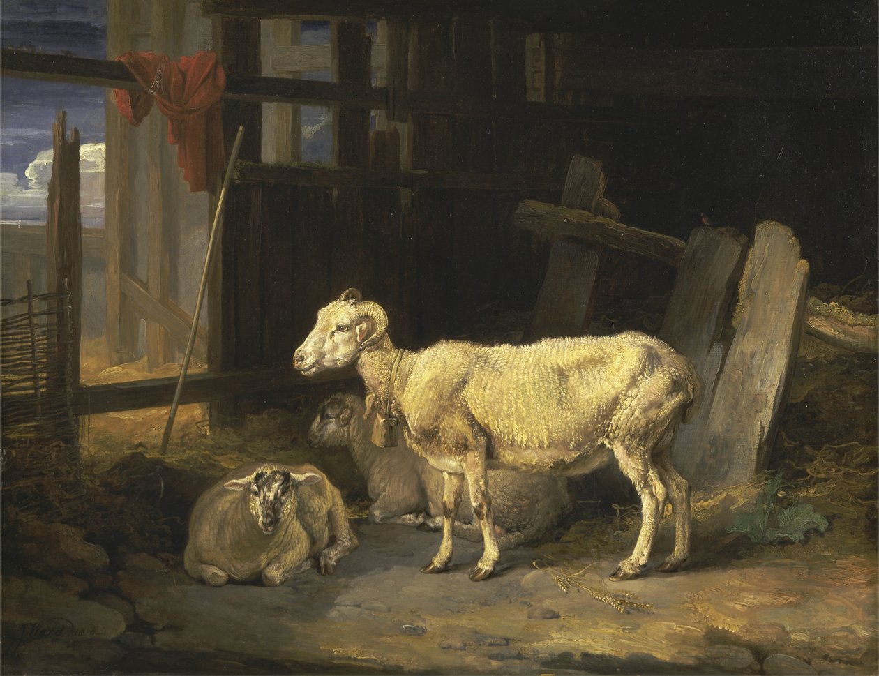 Heath Ewe and Lambs by James Ward