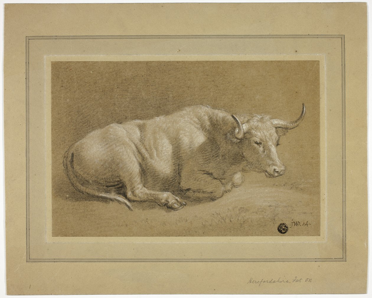 Herefordshire Fat Ox by James Ward