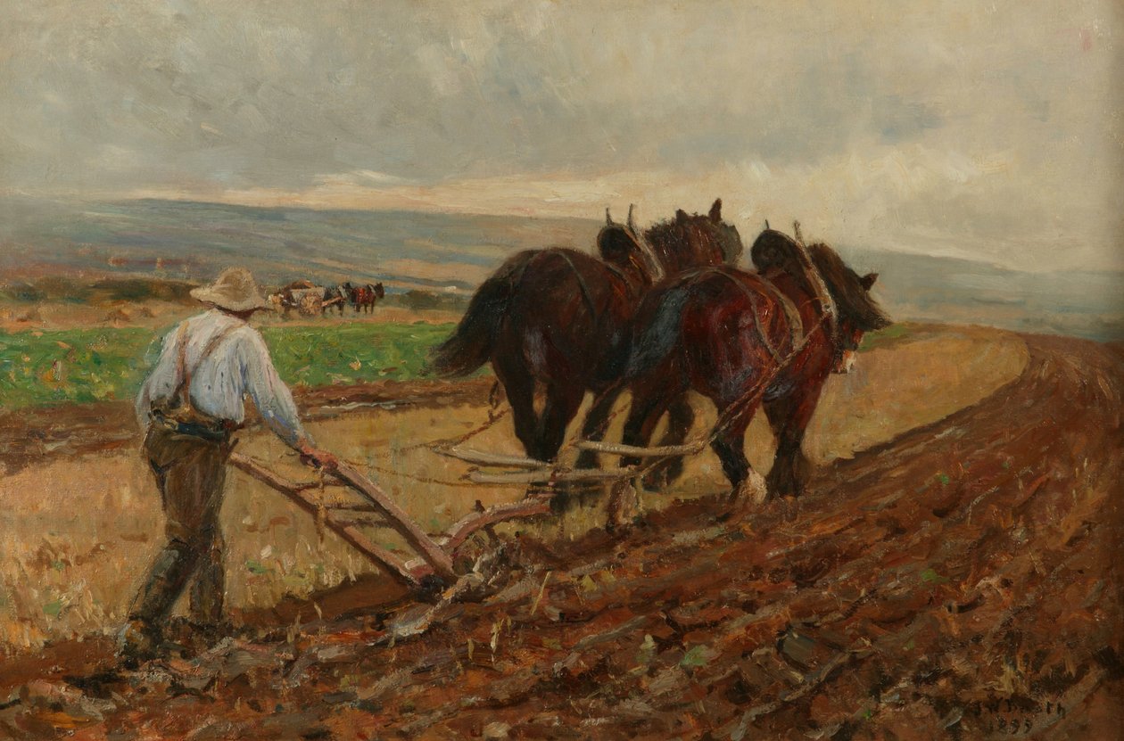 Ploughing by James William Booth