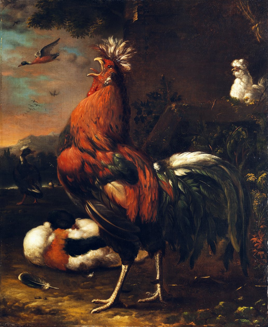 Proud Rooster by Jan van Oolen
