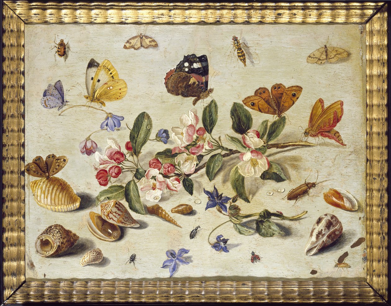 A Study of Flowers and Insects by Jan van Kessel the Elder