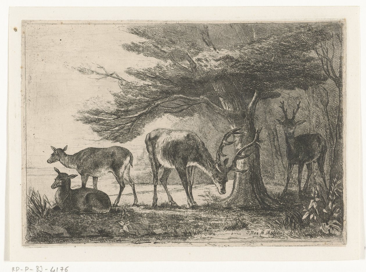 Forest Edge with Deer by Jan Bos Wz.