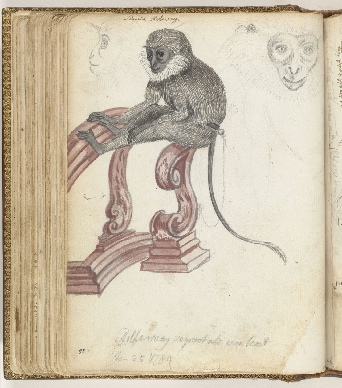 Rolleway Monkey by Jan Brandes