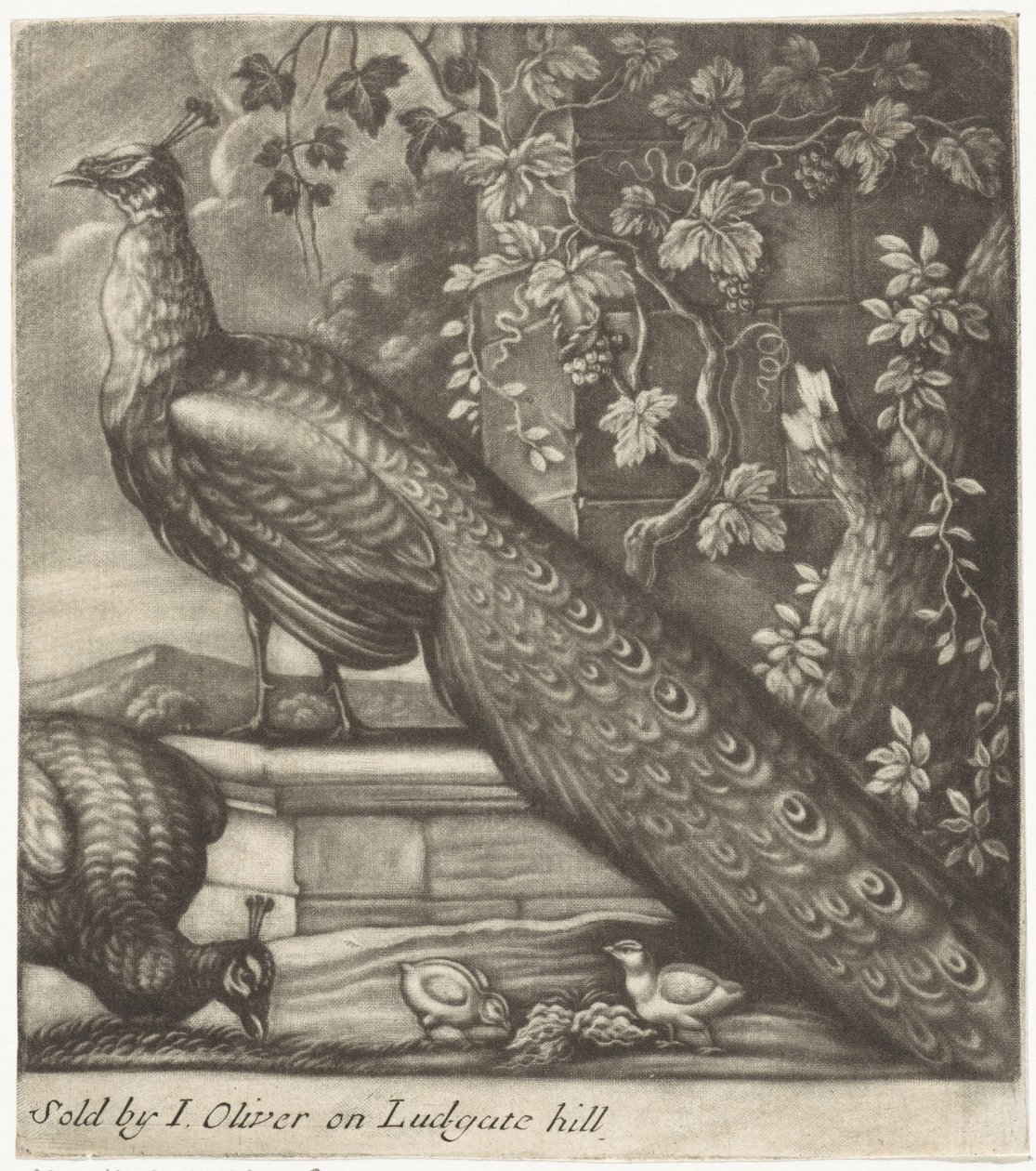 Peacocks by Jan Griffier (I)