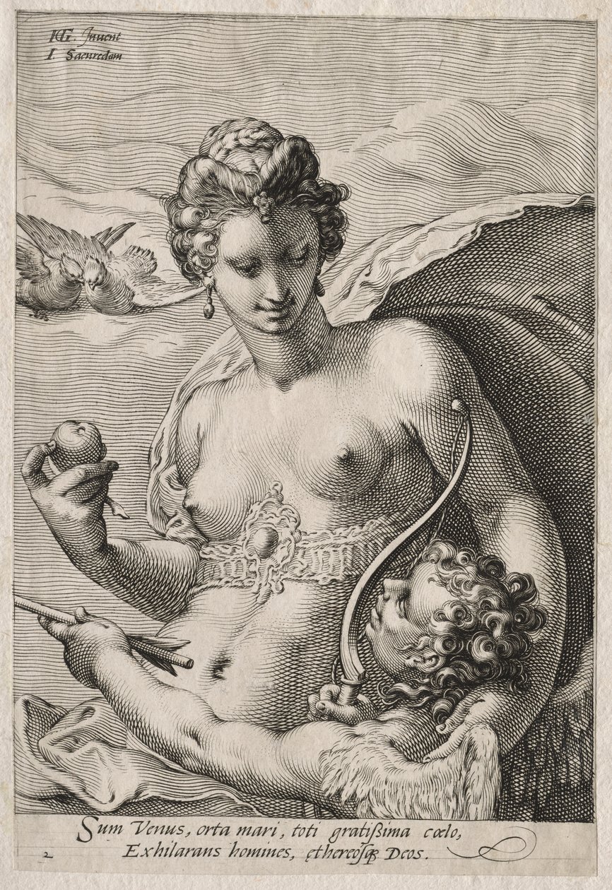 Venus and Cupid by Jan Saenredam