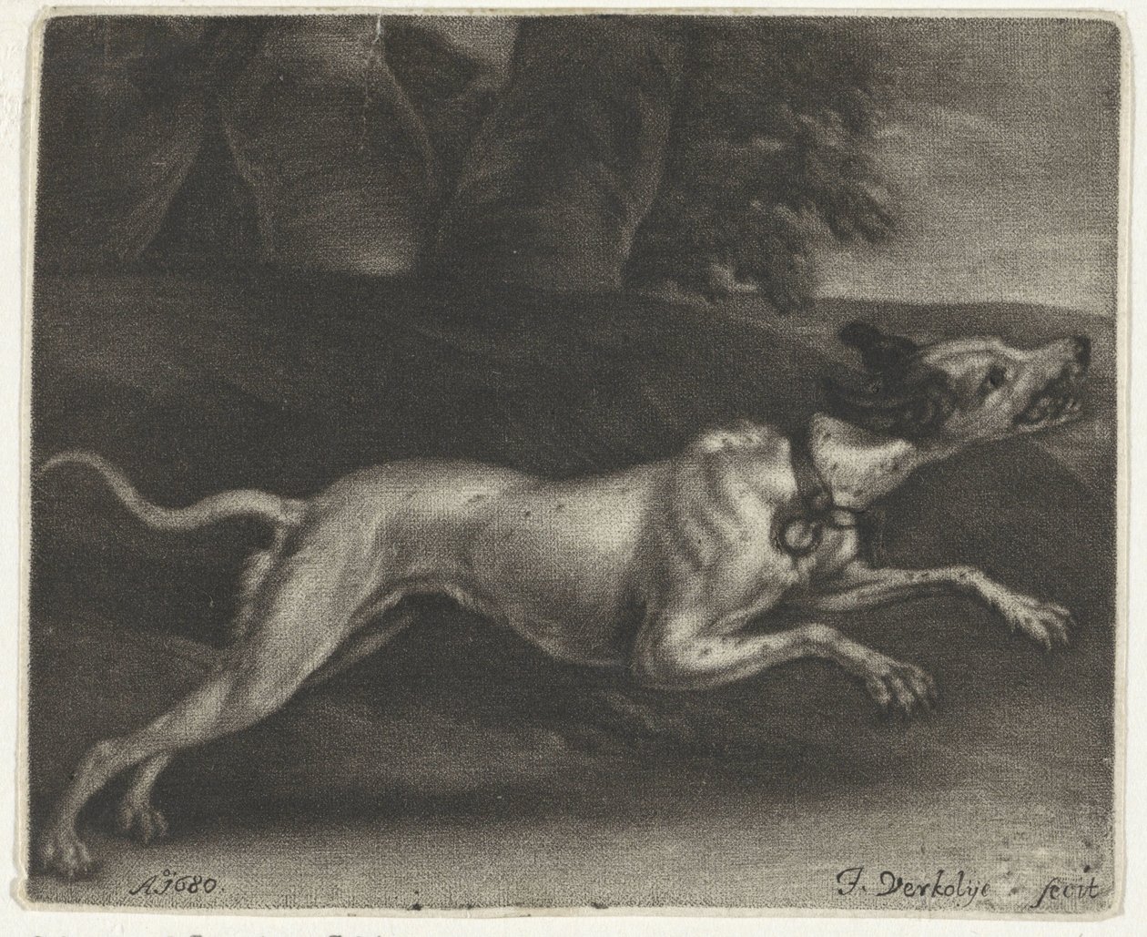 Running Dog by Jan Verkolje (I)
