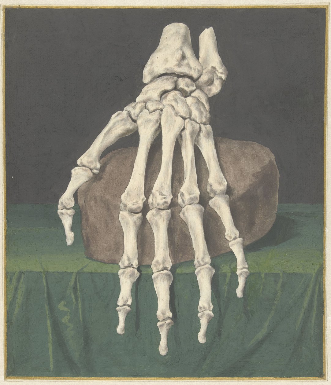 Skeleton of a Hand by Jan l