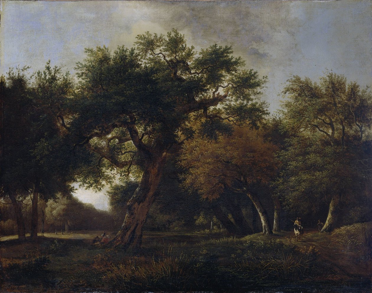 View in the Woods by Jan van  Kessel