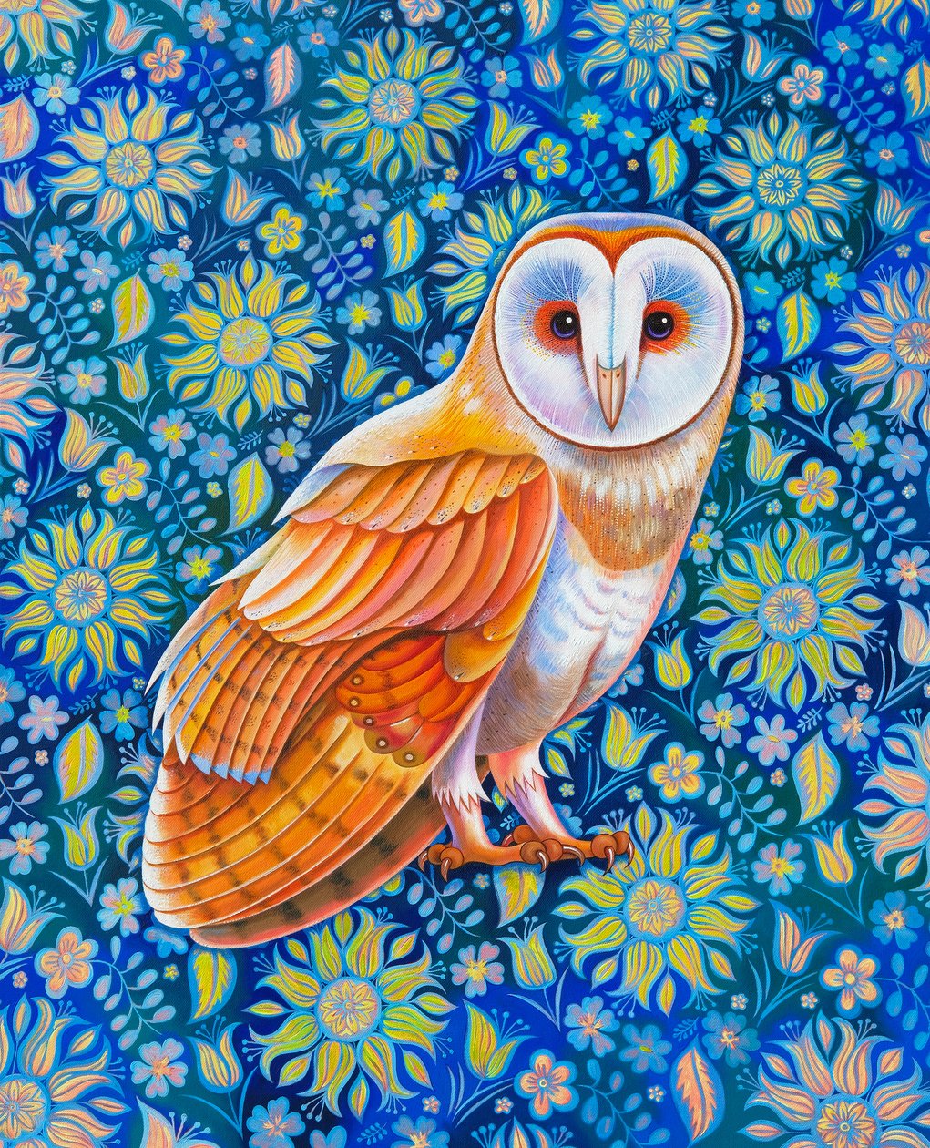 Barn owl by Jane Tattersfield