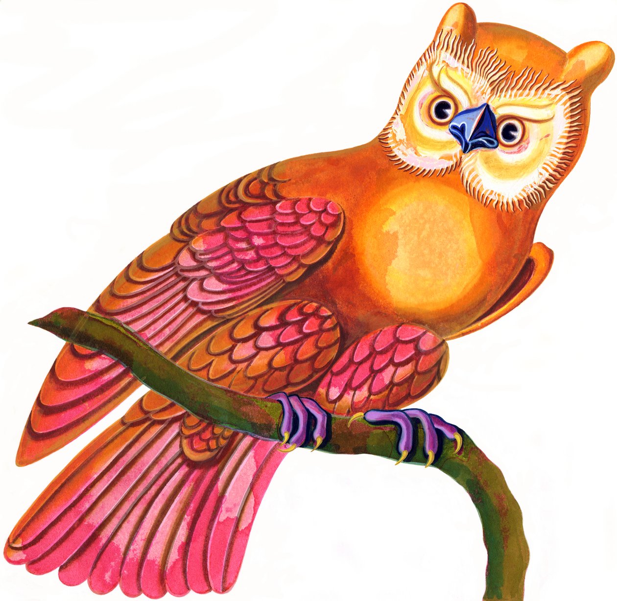 Owl by Jane Tattersfield