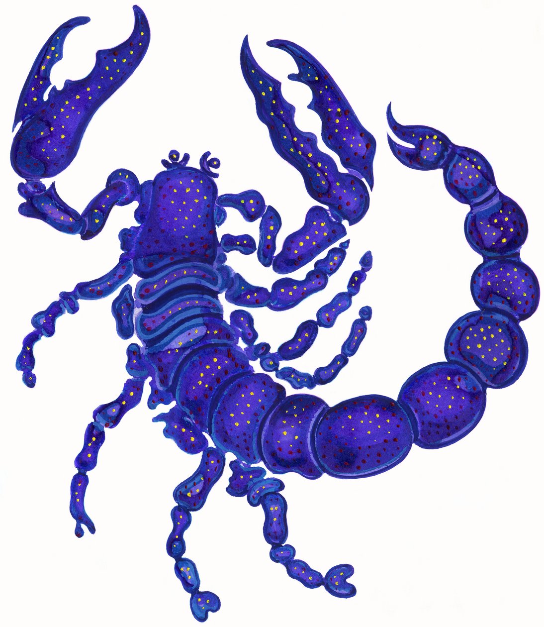 Scorpio by Jane Tattersfield