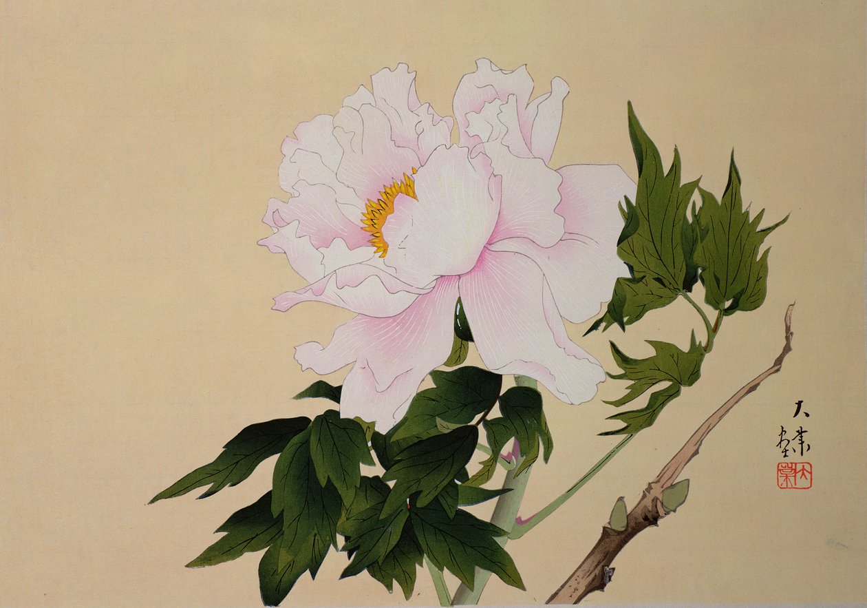 Peony, pub. 1950 by Japanese School