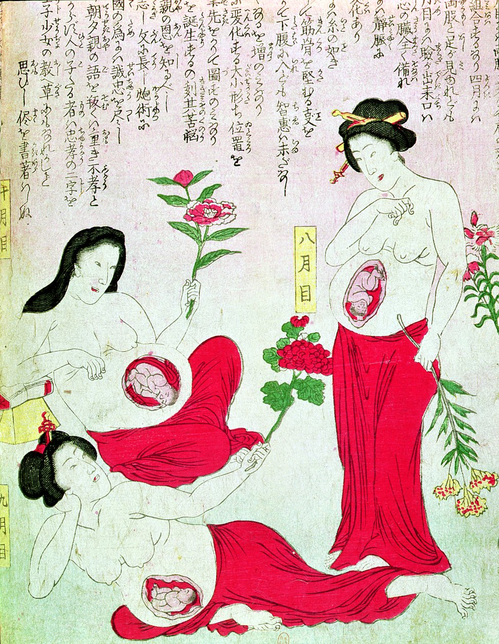 Pregnant Women by Japanese School