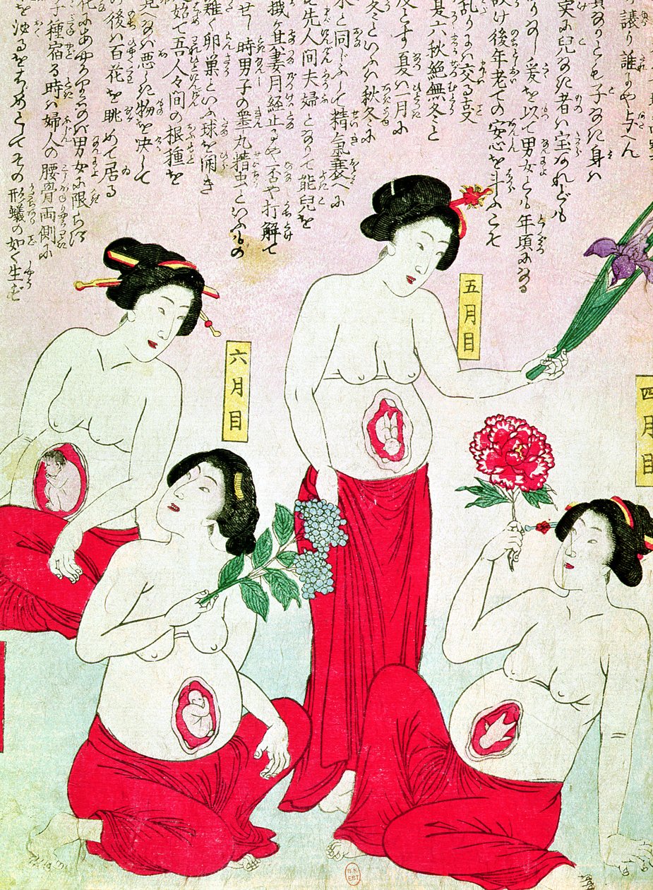 Pregnant Women by Japanese School