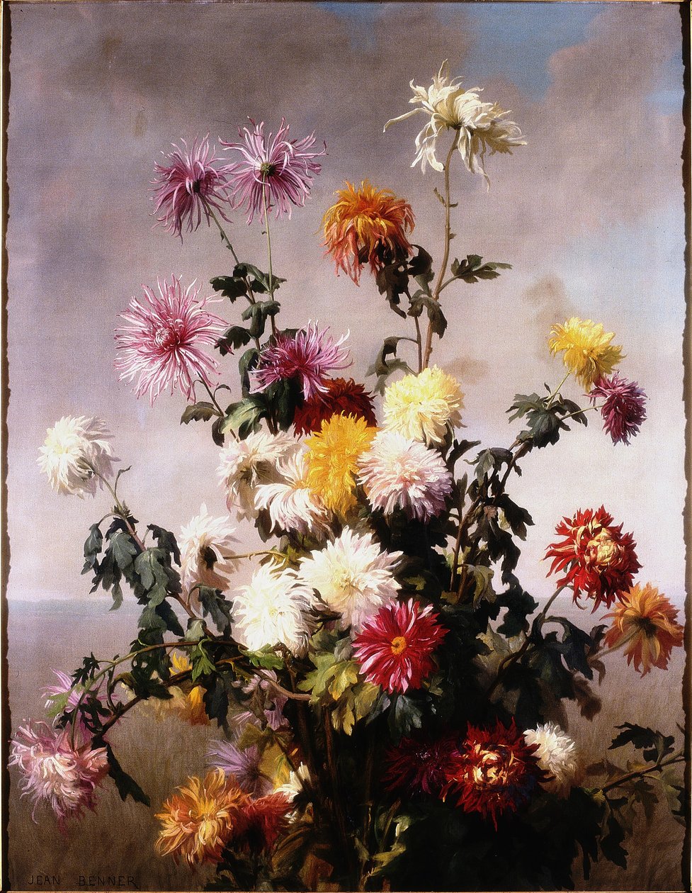 Study of Flowers by Jean Benner