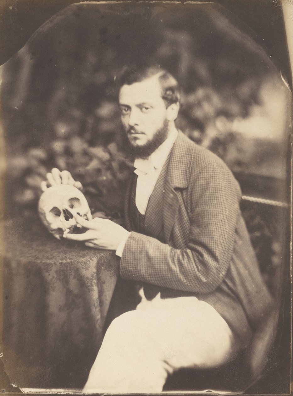 A Vanitas by Jean Baptiste Frénet