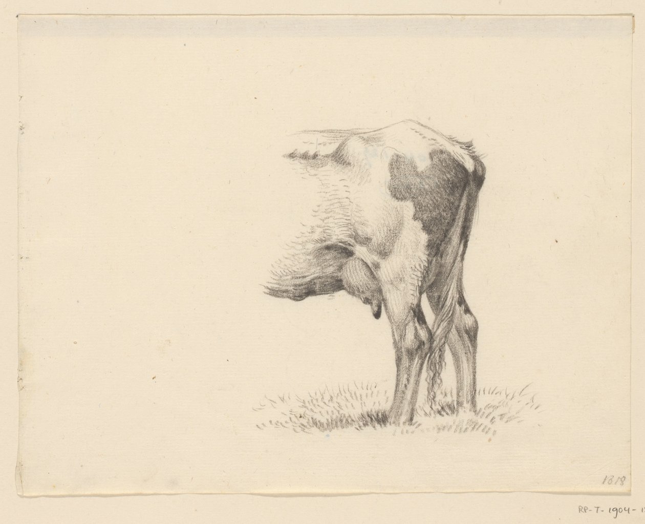 Hind Legs of a Cow by Jean Bernard